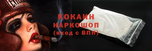 соль ск Арсеньев