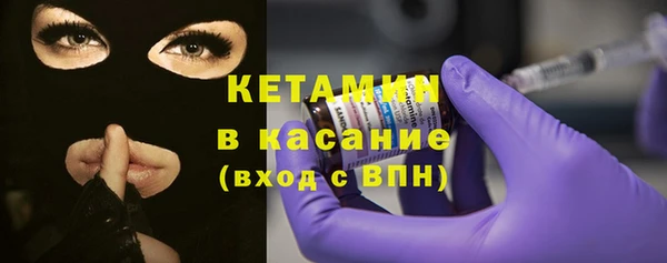 сатива Сосновка