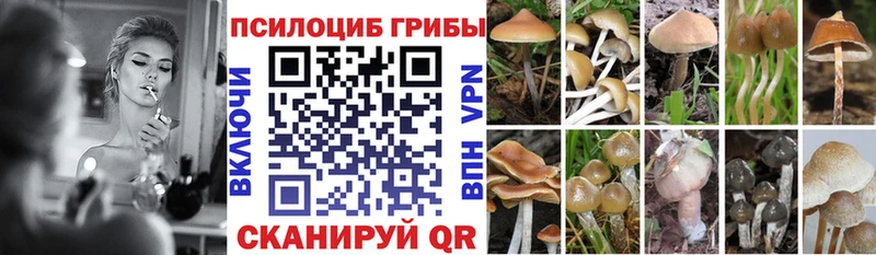 Галлюциногенные грибы MAGIC MUSHROOMS  как найти закладки  Боровск 